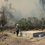 Kebakaran Hutan Lalap Gunung di Jawa Timur
